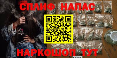 Альфа ПВП Можга