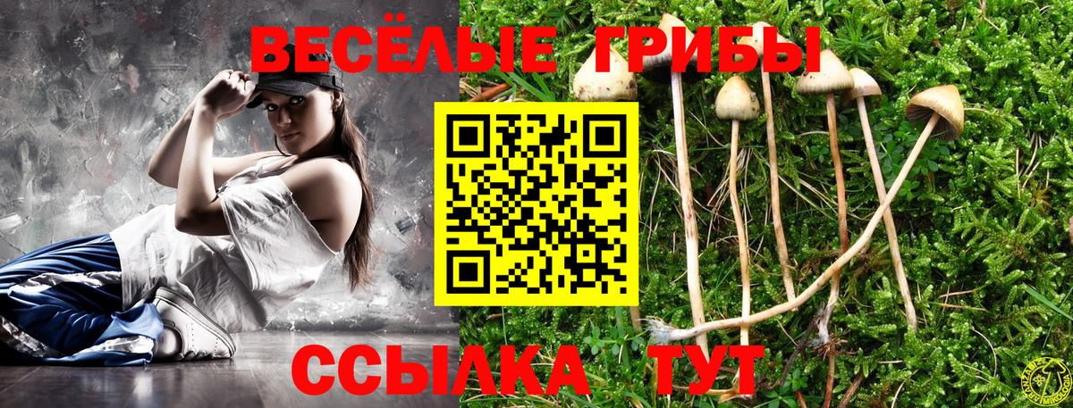 Псилоцибиновые грибы MAGIC MUSHROOMS  Вход с VPN  Арсеньев 