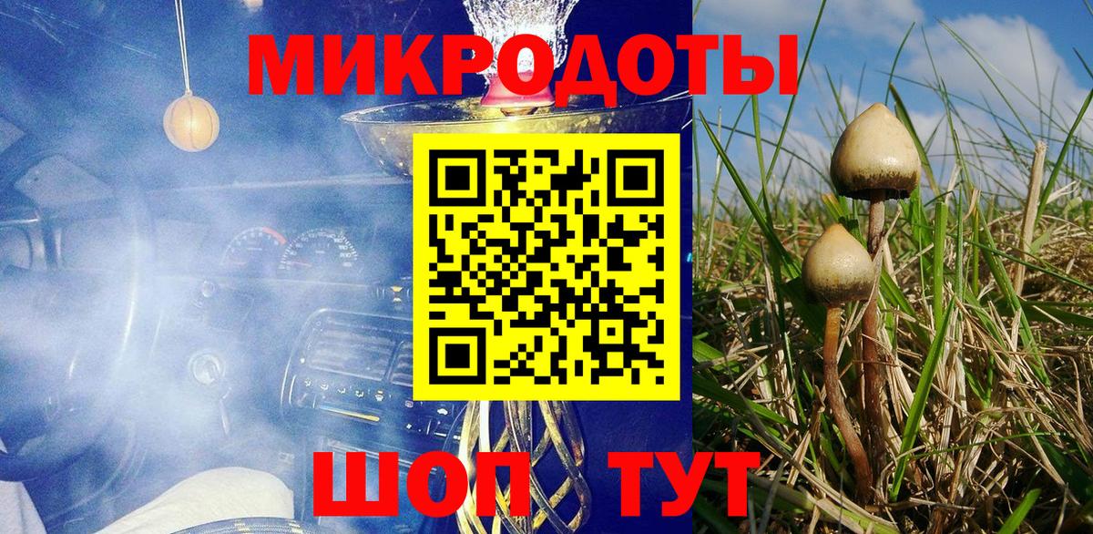 Псилоцибиновые грибы Psilocybine cubensis Арсеньев